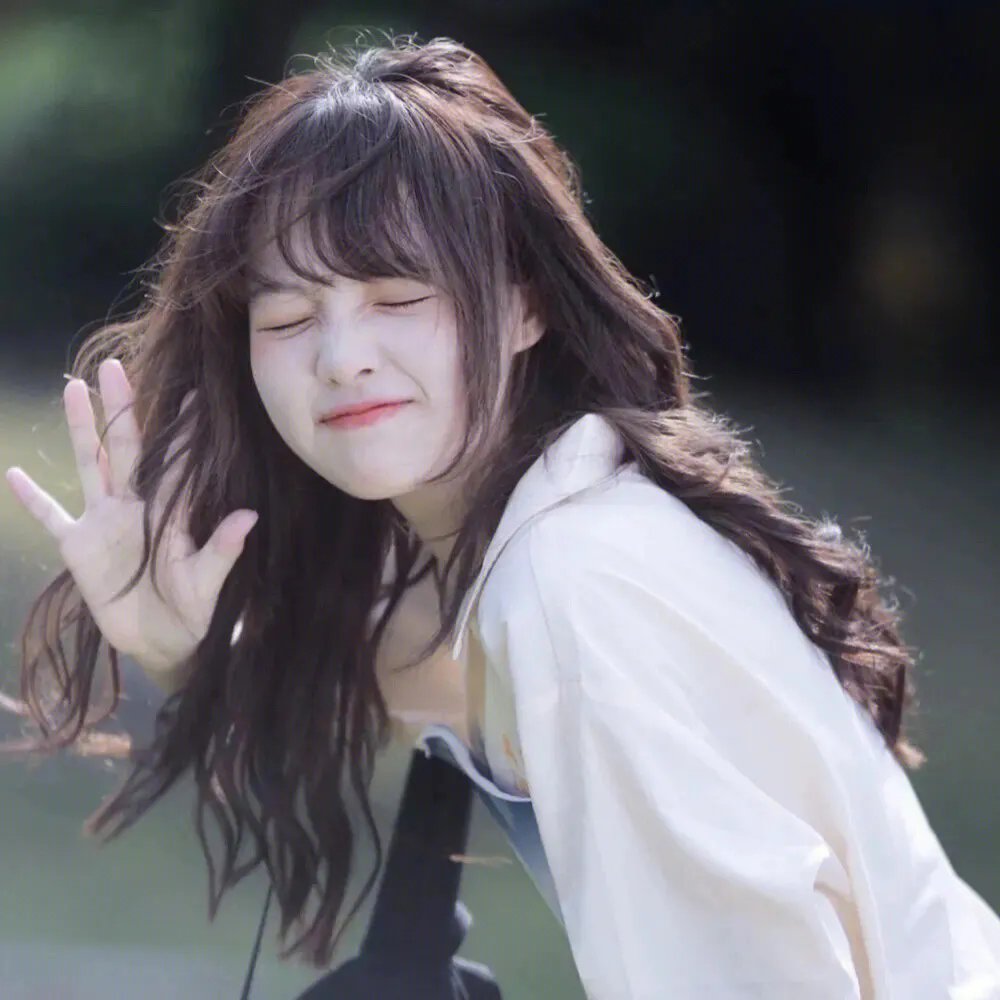 北岸海岸线生态修复